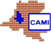 CAMI Logo